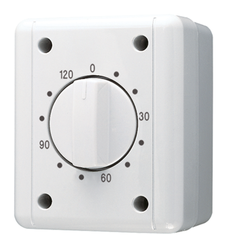 JUNG Белый Выключатель для накладного монтажа с часовым механизмом